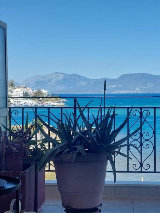 Bright Central Apartment With Splendid Sea View! Chalkida Exterior photo